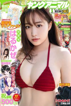《电视剧麻辣芳邻》