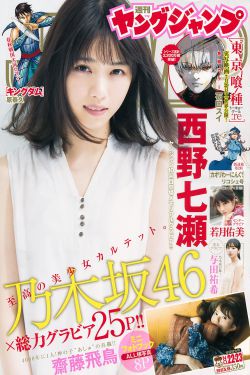 《少年天子之顺治王朝》