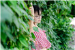 美女解开奶罩让男人揉