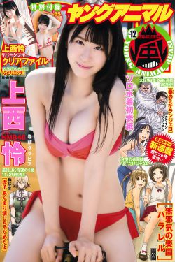 胡夏奇袭成功了吗