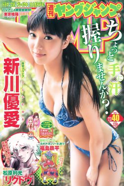 李峰张雪离婚小说免费阅读
