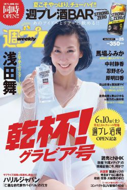 《九纹龙史进之大破瓦罐寺》