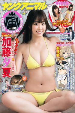 japonensisjava孕妇
