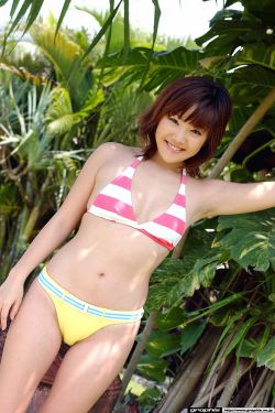 后海不是海 电视剧免费观看