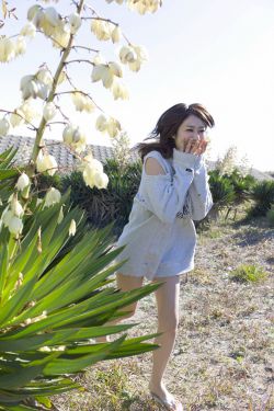 小莹翁公粗大