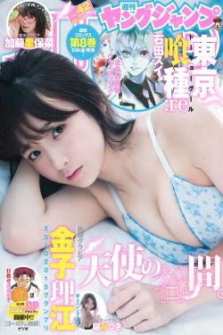 斛珠夫人48集剧情免费看