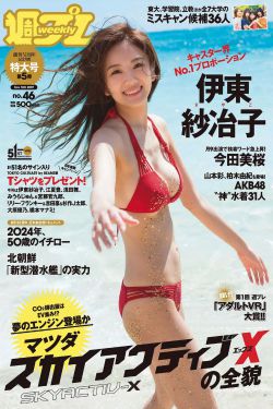 鹰巢之预备警官第16集