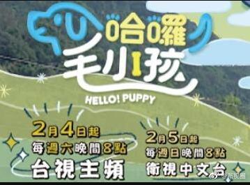 哈啰！毛小孩